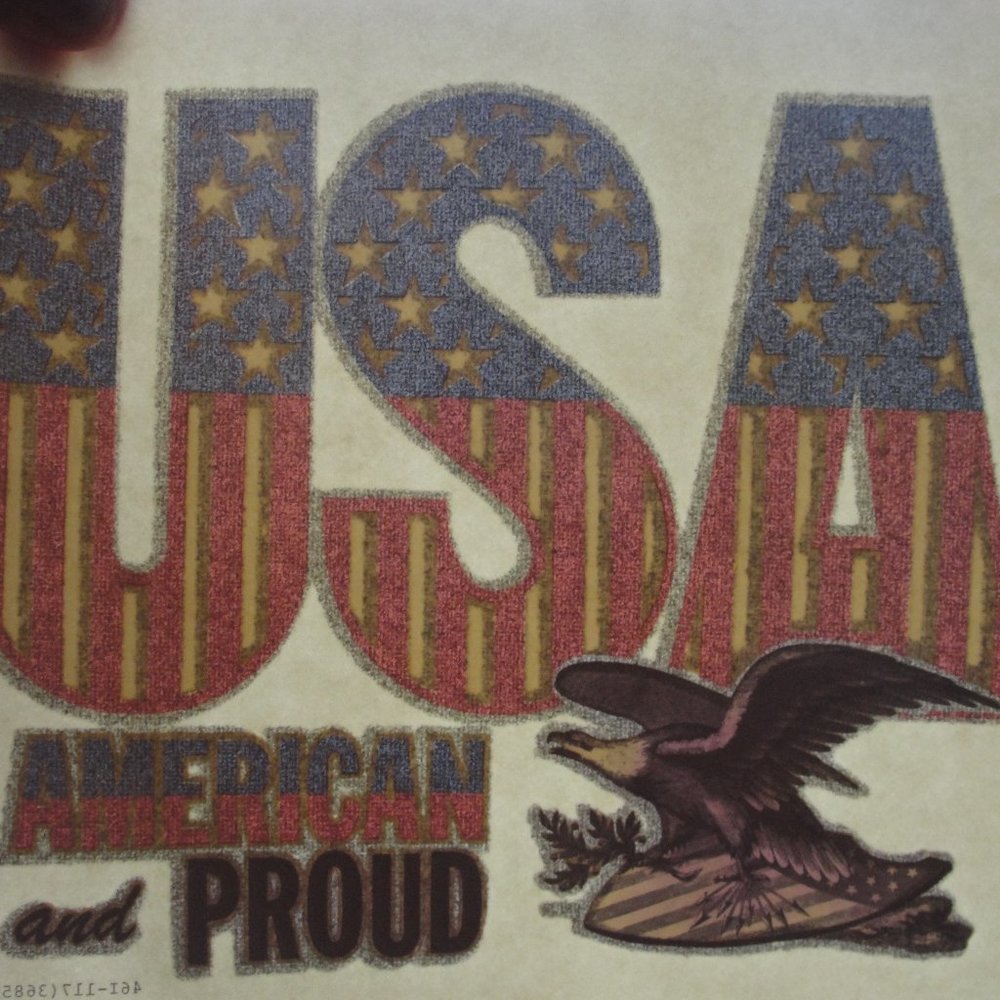 6 for $5...Patriotic retro iron on transfer